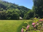 Lawn Lawn